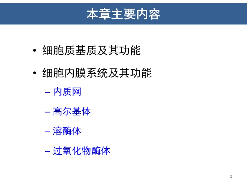 细胞质基质与内膜系统ppt课件_第2页