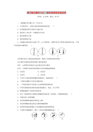 2018年高中生物 課下能力提升（七）染色體變異及其應(yīng)用 蘇教版必修2.doc