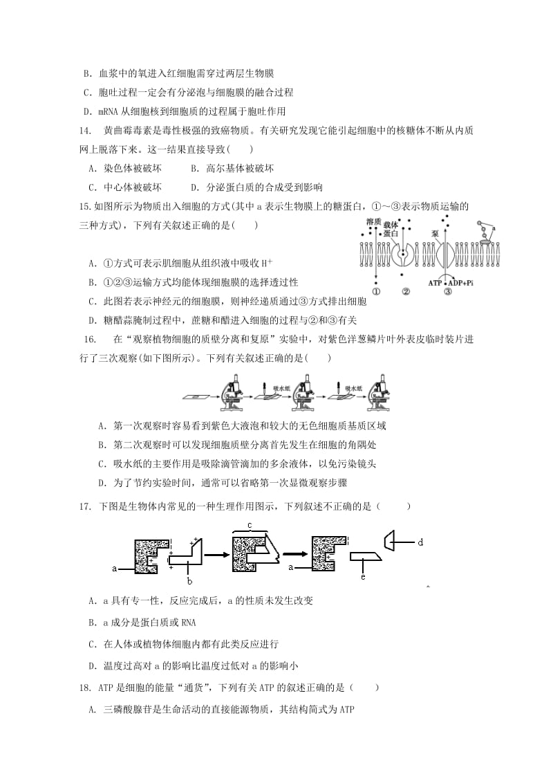 2019届高三生物9月月考试题 (VI).doc_第3页