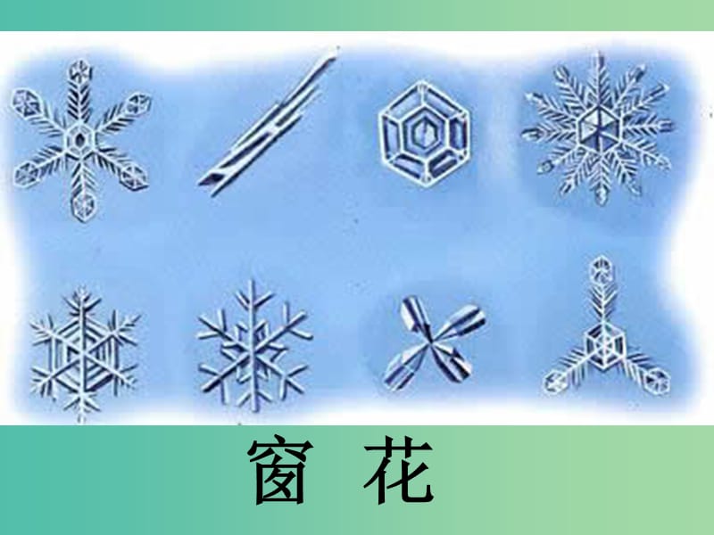 一年级品生上册《踏雪玩冰》课件1 苏教版.ppt_第3页