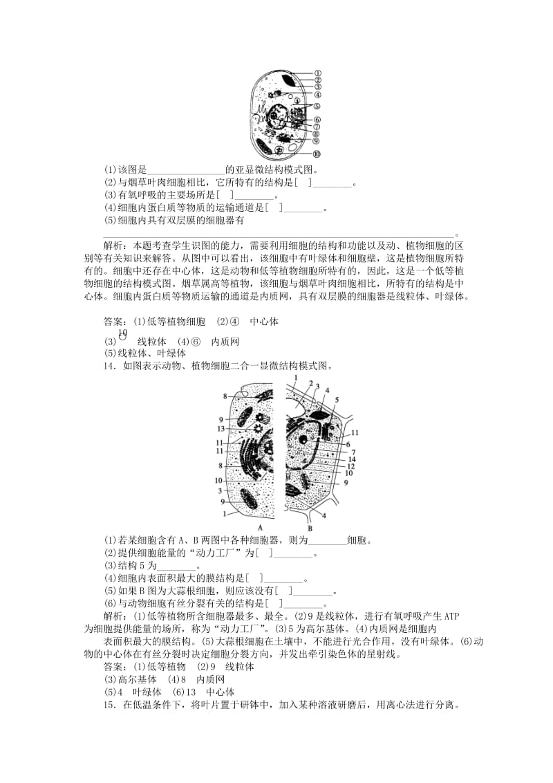 2018-2019学年高中生物 第三章 细胞的结构和功能 第二节 细胞的类型和结构 第2讲 细胞质和细胞器课时作业 苏教版必修1.doc_第3页