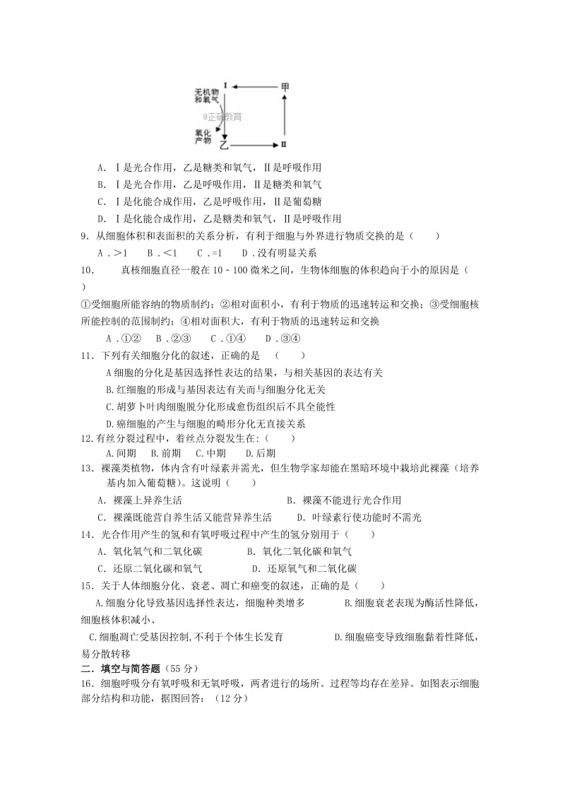 2019-2020学年高一生物下学期期中试题（无答案） (III).doc_第2页