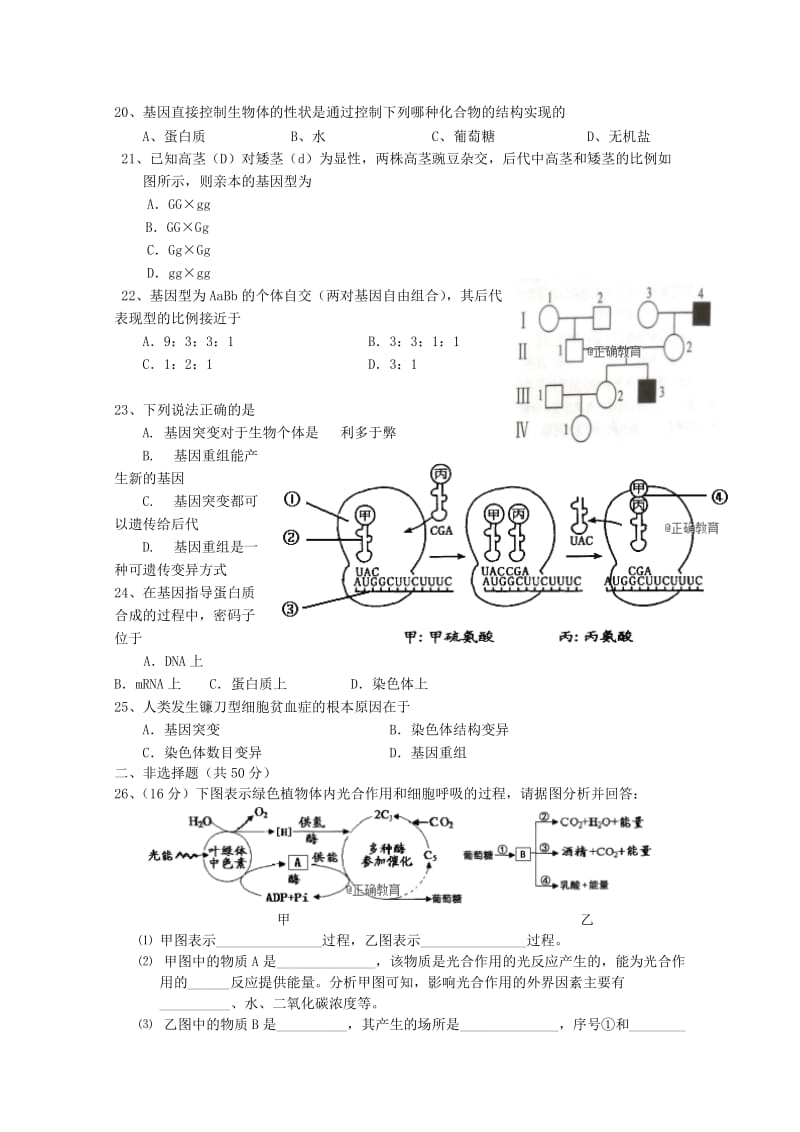 2019-2020学年高二生物下学期第一次月考试题 文(无答案).doc_第3页