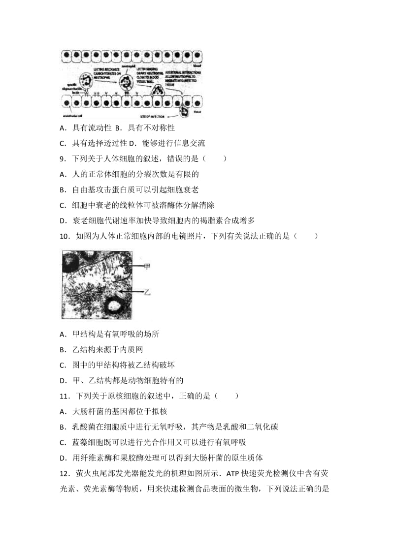 2019-2020年高三上学期期中生物试卷 含解析 (II).doc_第3页