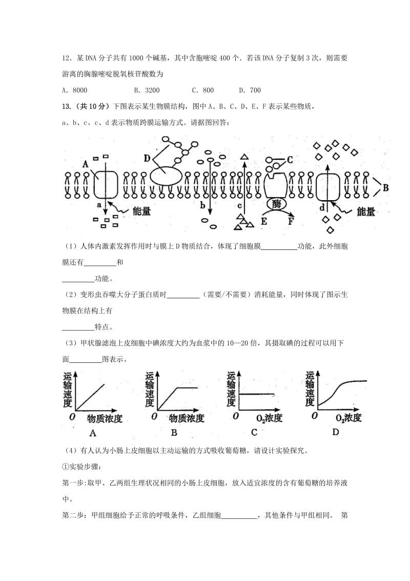 2019-2020学年高一生物下学期期末模拟试题.doc_第3页