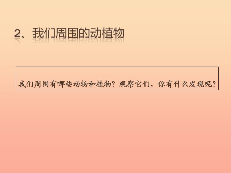 三年级科学上册1.3我们周围的动植物课件4青岛版五四制.ppt_第1页