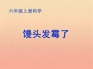 六年級科學(xué)上冊 饅頭發(fā)霉了課件6 蘇教版.ppt