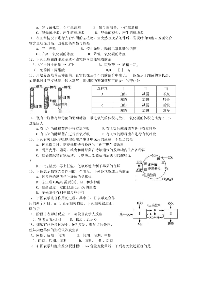 2019-2020学年高二生物上学期期初考试试题 (I).doc_第2页