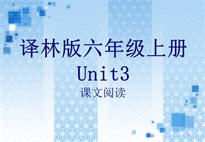 譯林版六上unit3課文閱讀.ppt