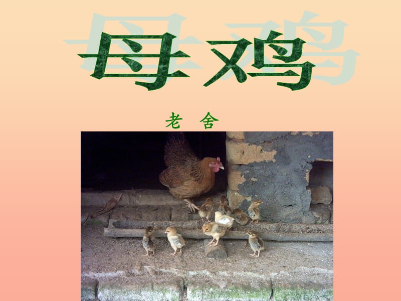 四年级语文上册第五单元母鸡课件2湘教版.ppt_第1页