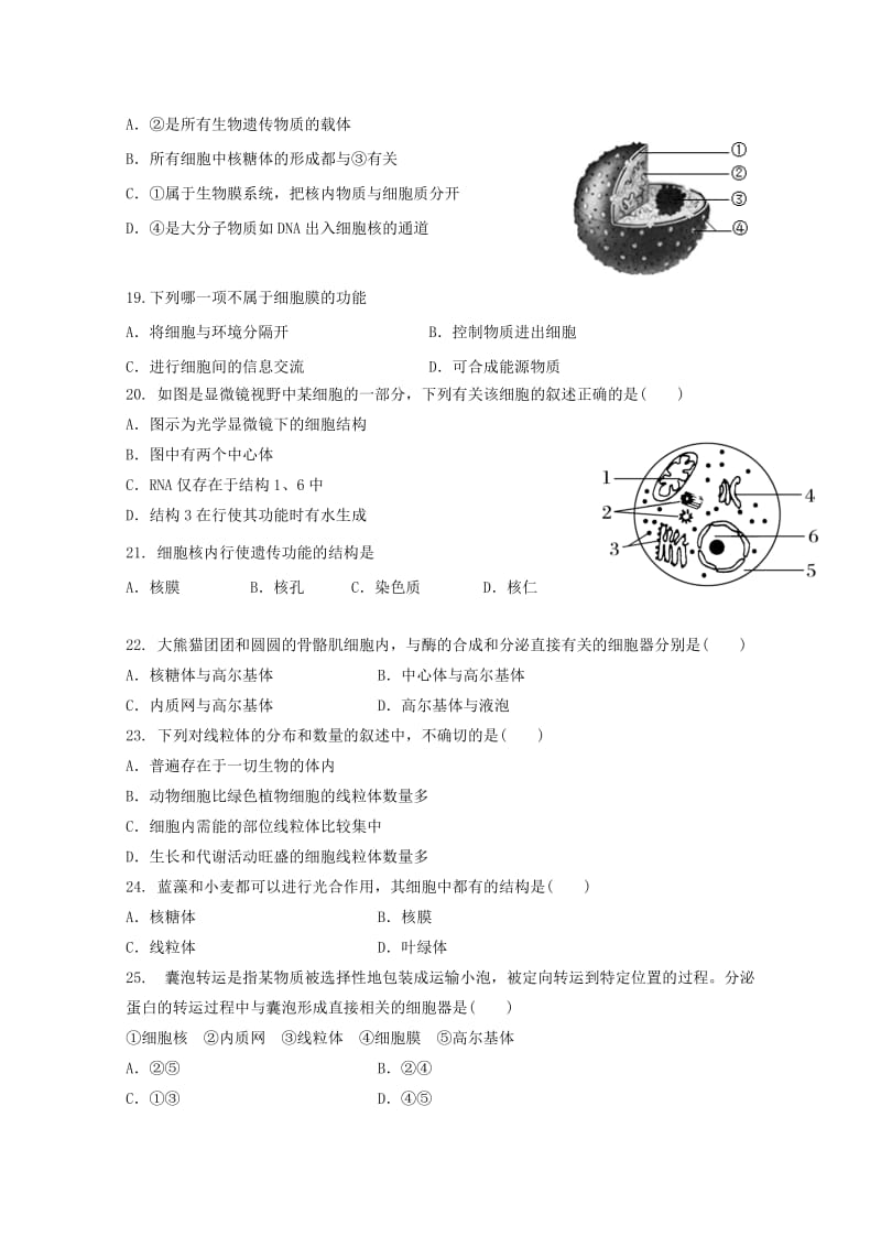 2019年高一生物上学期期中试题 (III).doc_第3页