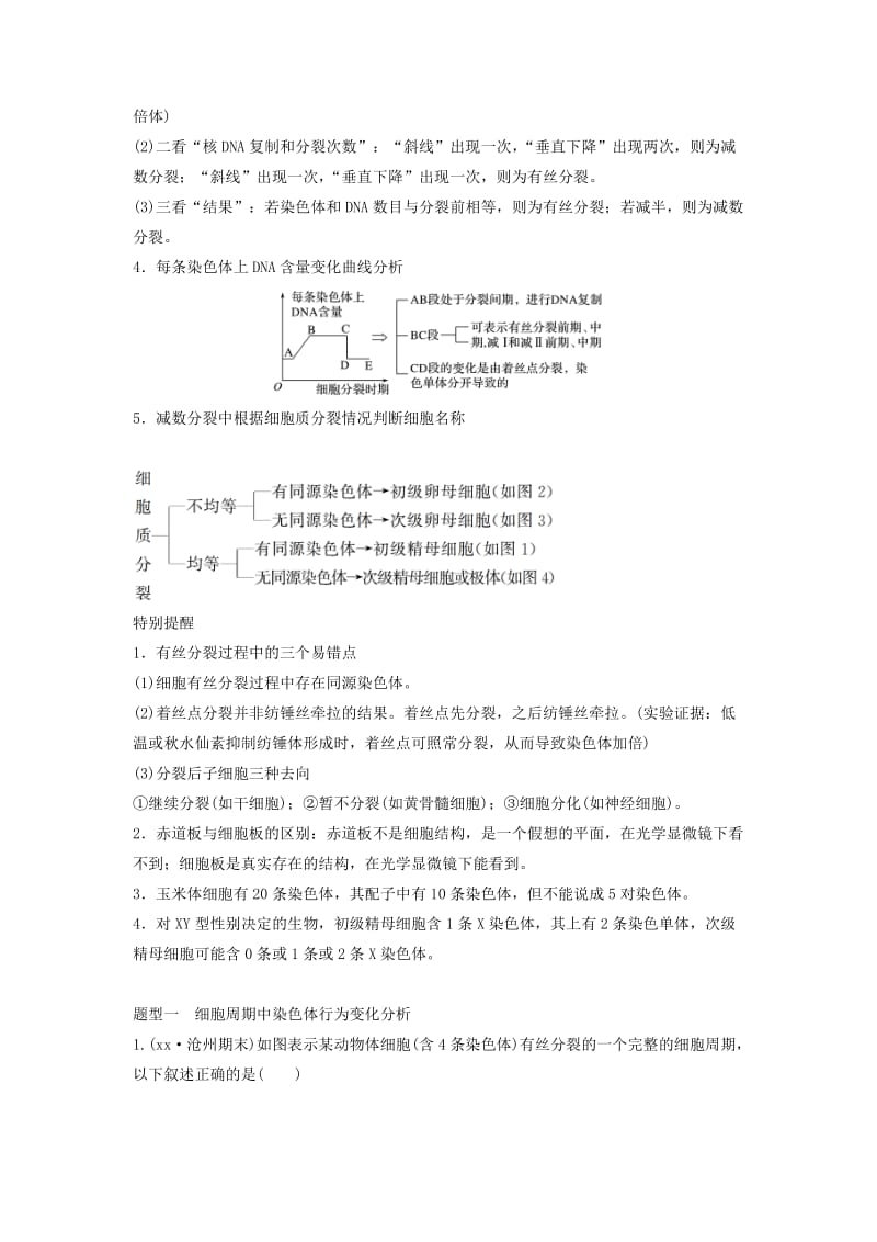 通用版2019版高考生物二轮复习专题一细胞的分子组成基本结构和生命历程考点3细胞的增殖学案.doc_第2页