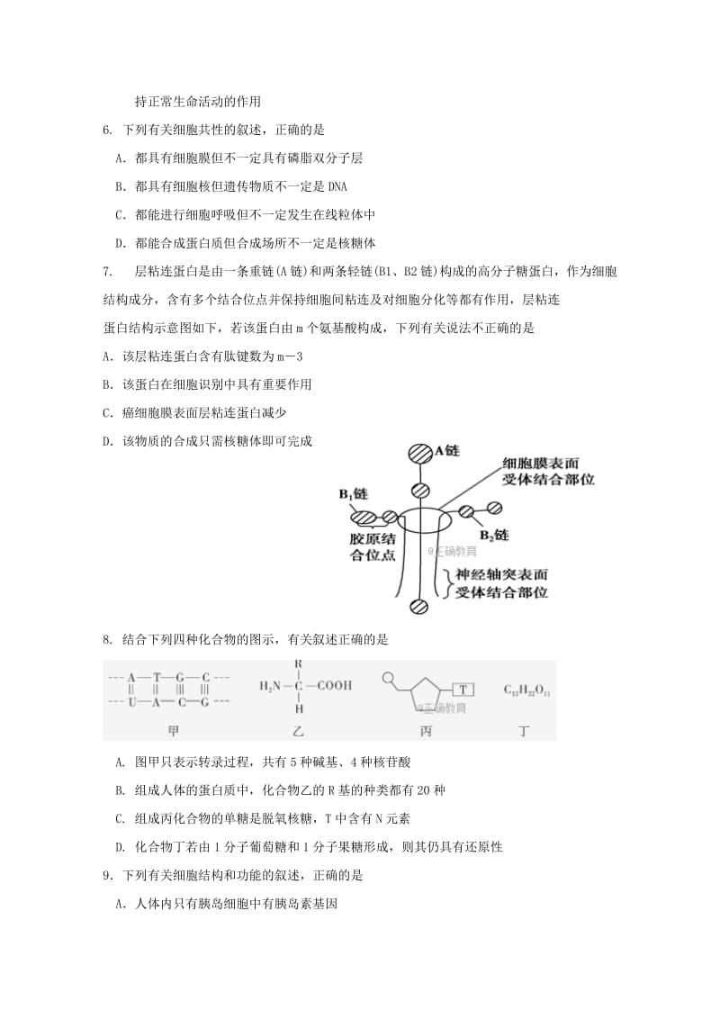 2019届高三生物10月阶段测试试题.doc_第2页