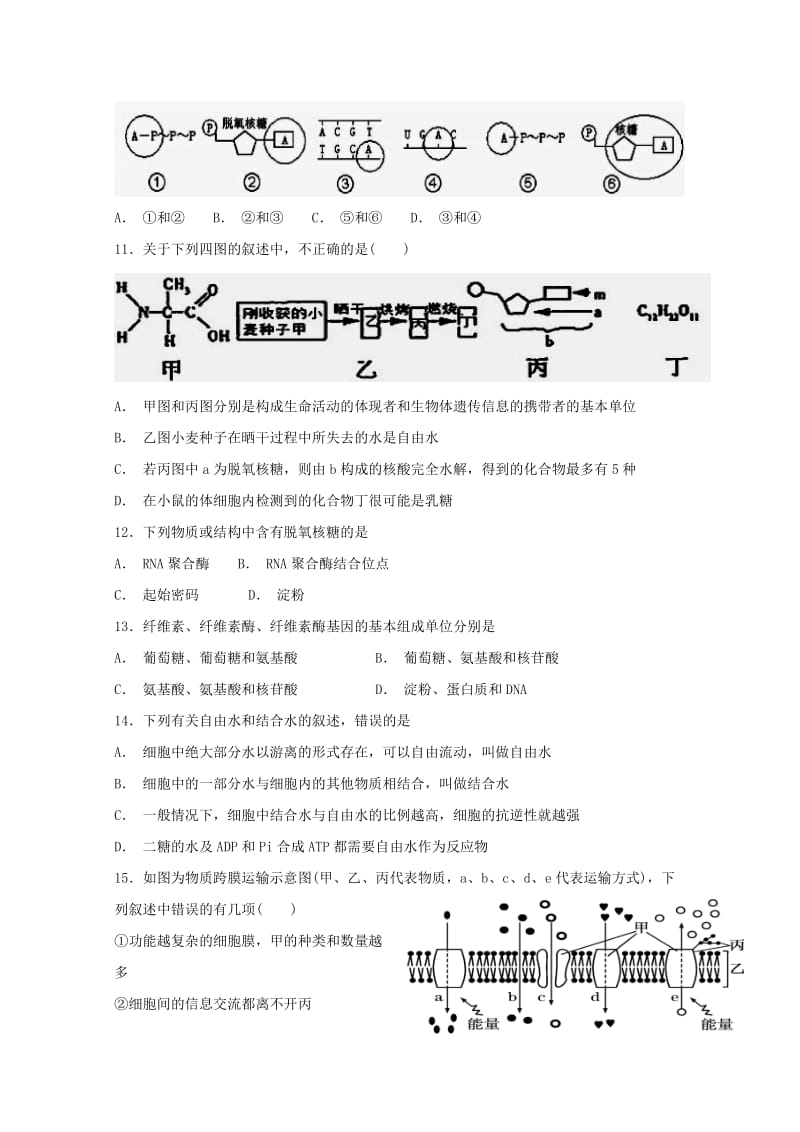 2019届高三生物上学期第二次检测考试试题.doc_第3页