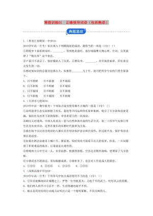 2018-2019學(xué)年高一語文 寒假訓(xùn)練01 正確使用詞語（包括熟語）.docx