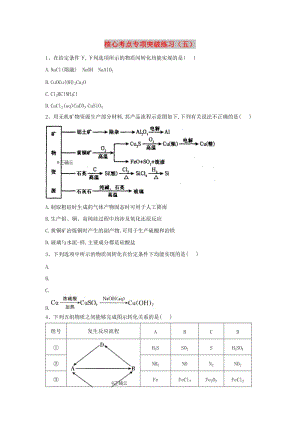 2019屆高三化學二輪復(fù)習 核心考點專項突破練習（五）（含解析）.doc