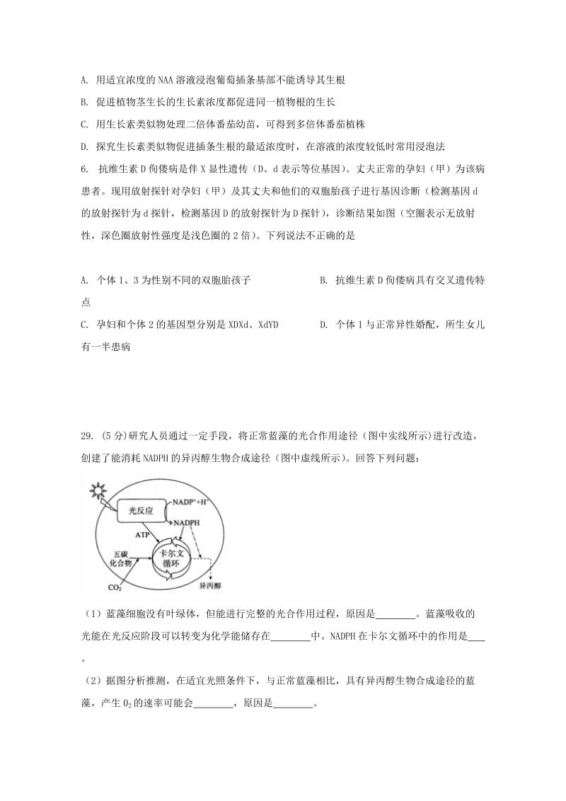 2019届高三生物二诊模拟试题 (I).doc_第2页