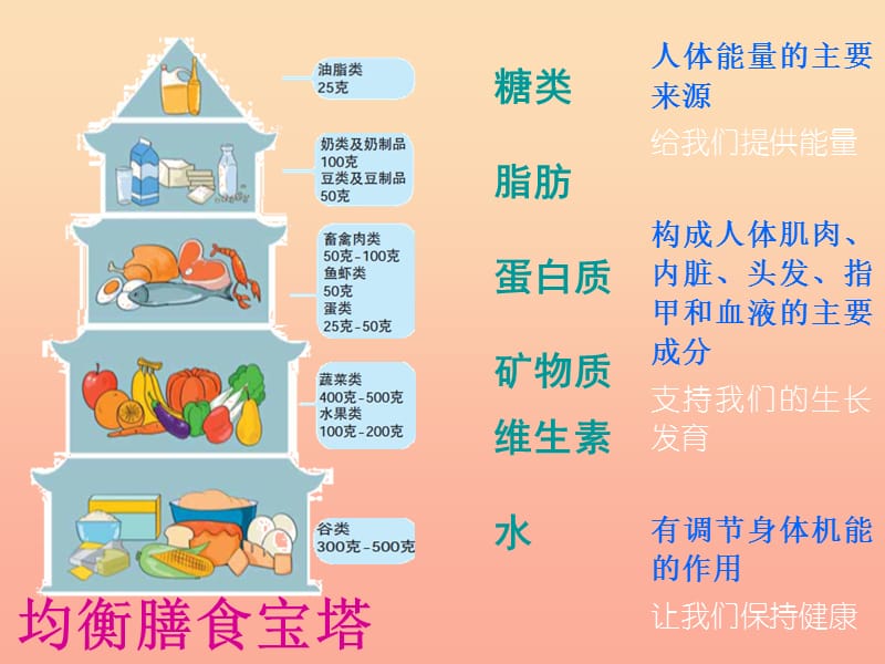 四年级科学下册3食物5面包发霉了课件1教科版.ppt_第1页