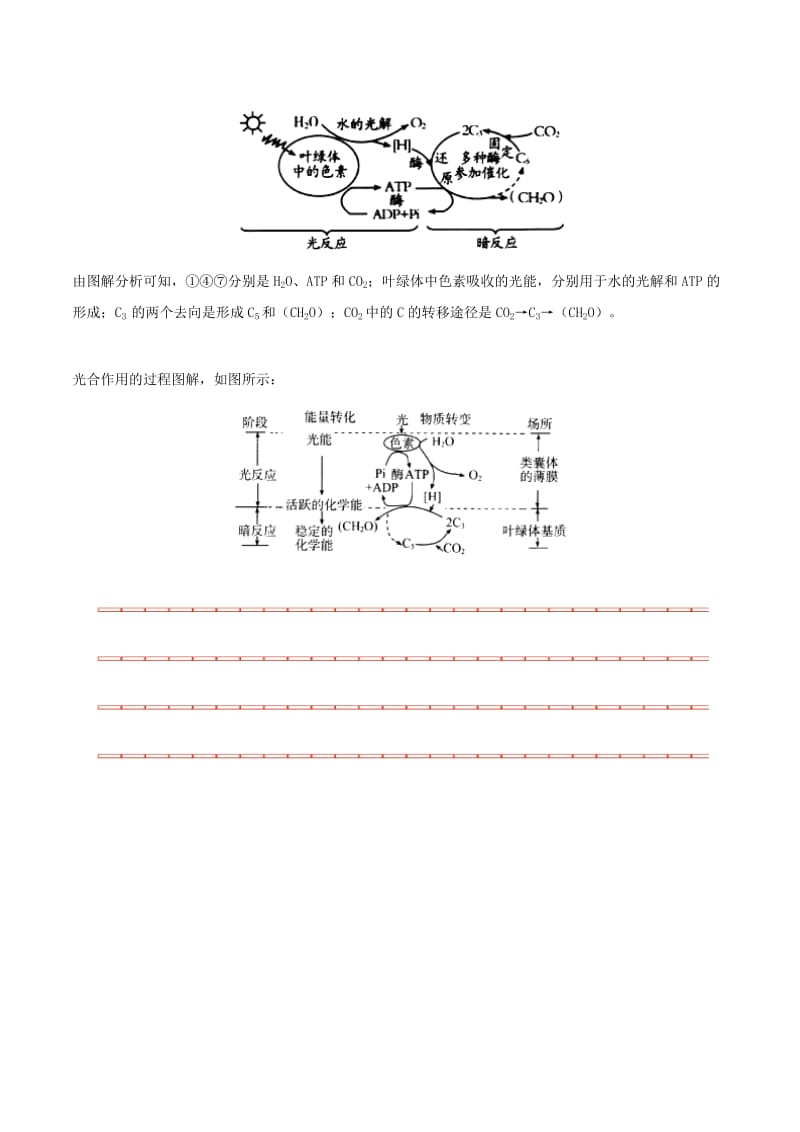 2018-2019学年高中生物 第五章 细胞的能量供应和利用 4 光合作用的过程每日一题 新人教版必修1.doc_第3页