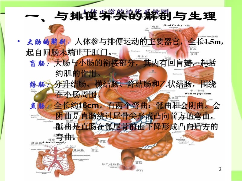 灌肠ppt课件_第3页