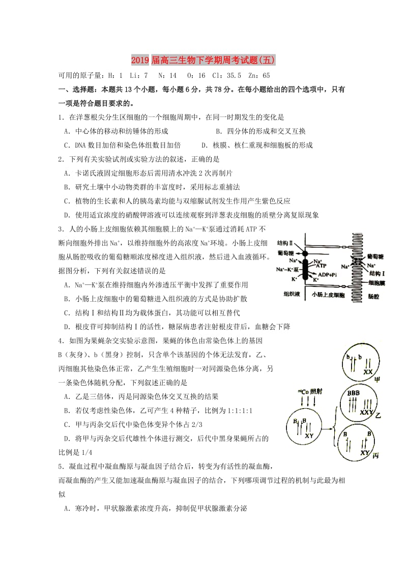 2019届高三生物下学期周考试题(五).doc_第1页