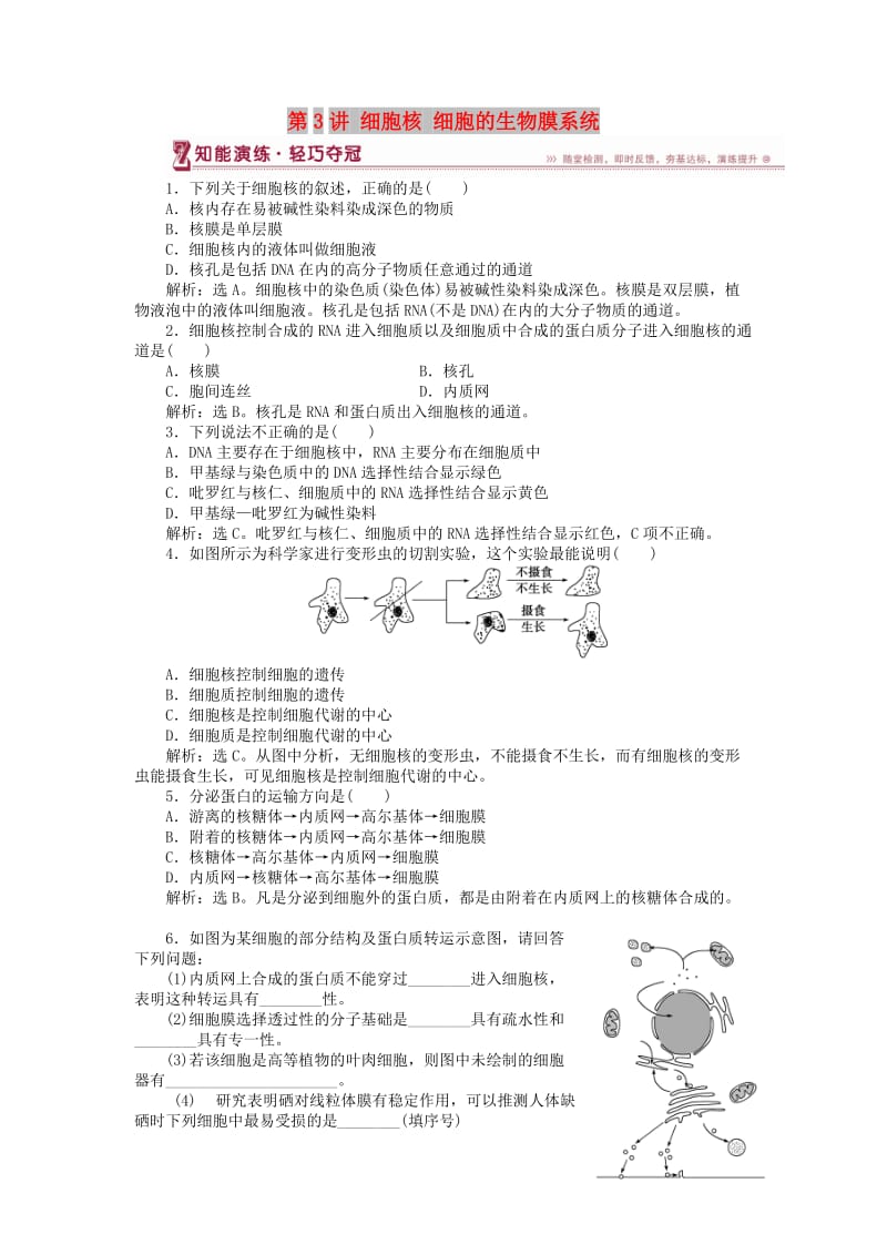 2018-2019学年高中生物 第三章 细胞的结构和功能 第二节 细胞的类型和结构 第3讲 细胞核 细胞的生物膜系统知能演练 苏教版必修1.doc_第1页