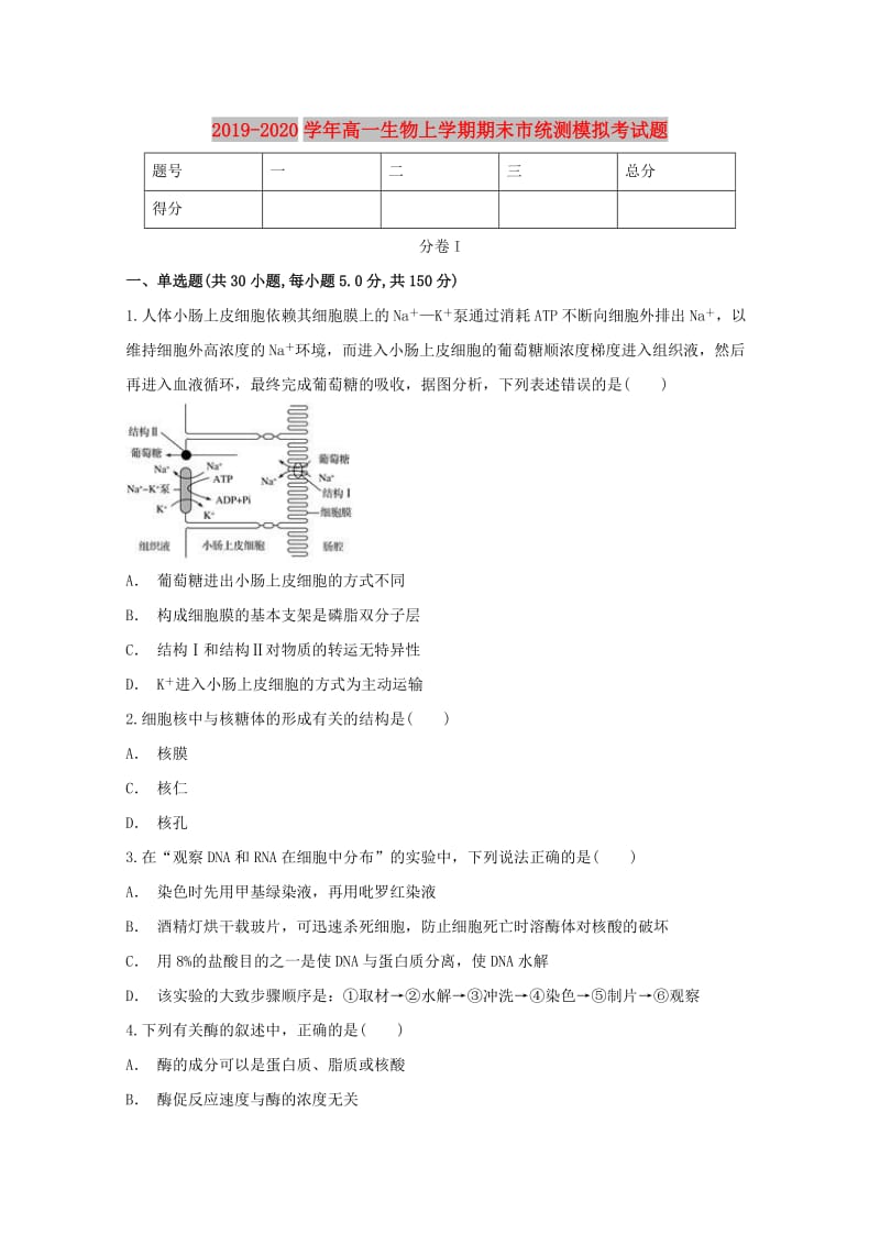 2019-2020学年高一生物上学期期末市统测模拟考试题.doc_第1页