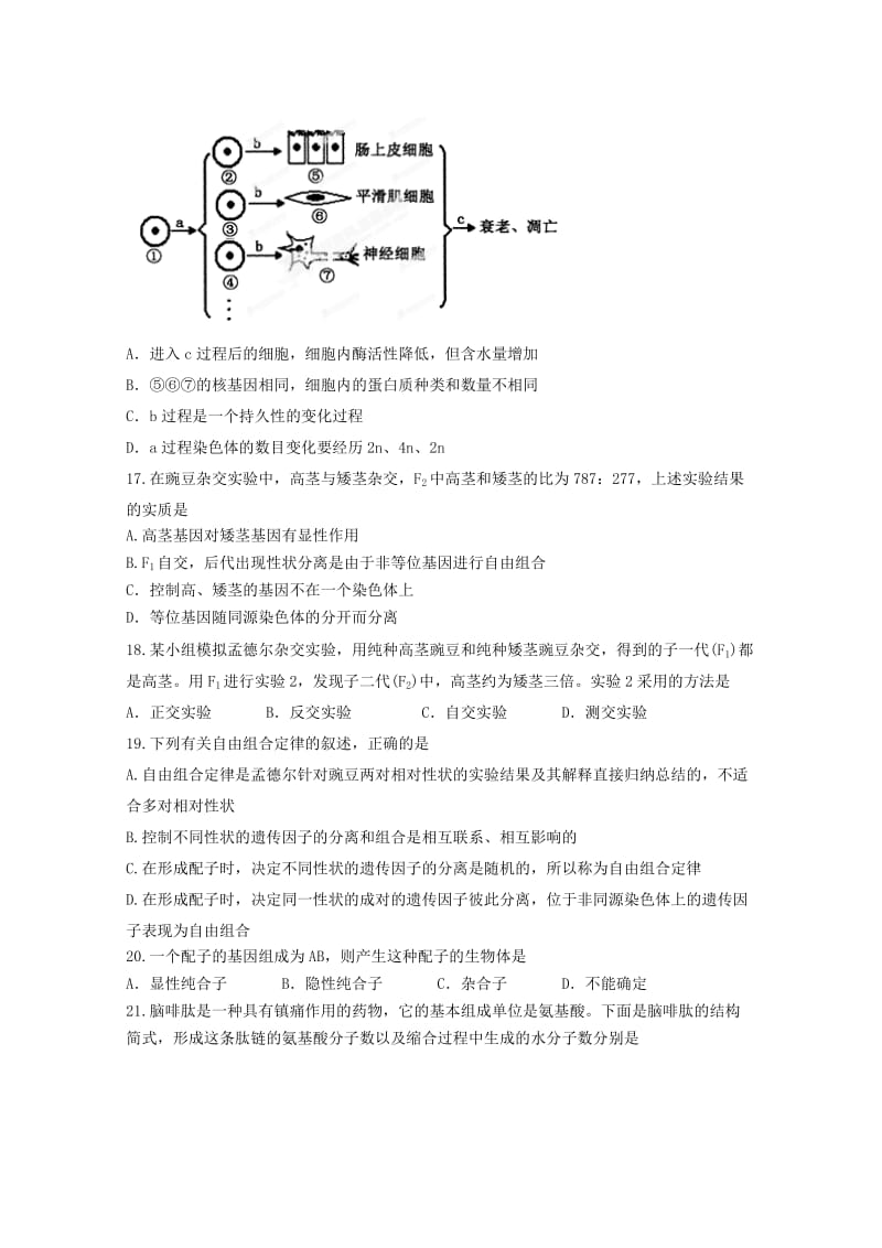 2019-2020年高一生物下学期期末考试试题 (III).doc_第3页