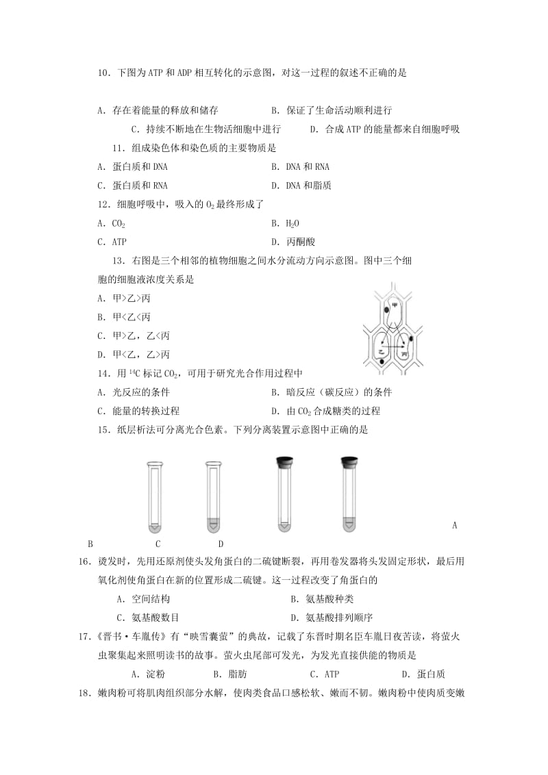 北京市西城区2018-2019学年高一生物上学期期末考试试题.doc_第2页