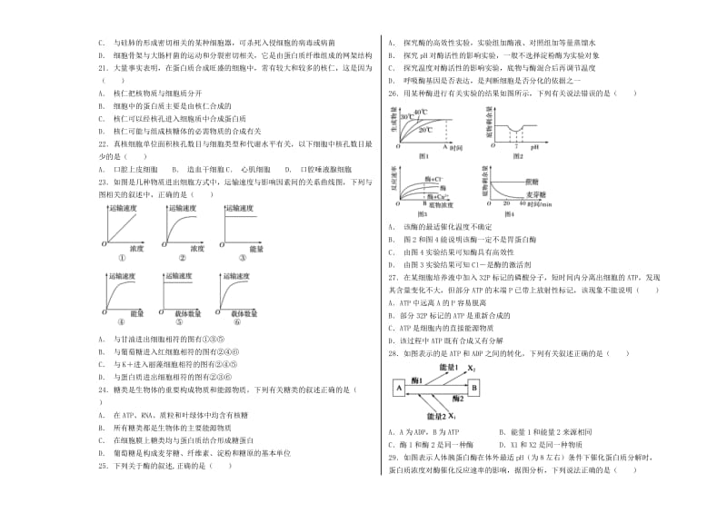 2019届高三生物上学期期中试题 (I).doc_第3页