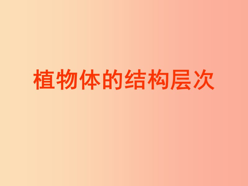 山東省威海市文登區(qū)實驗魯中學(xué)六年級生物上冊 2.3.3 植物體的結(jié)構(gòu)層次課件（1） 魯科版五四制.ppt_第1頁