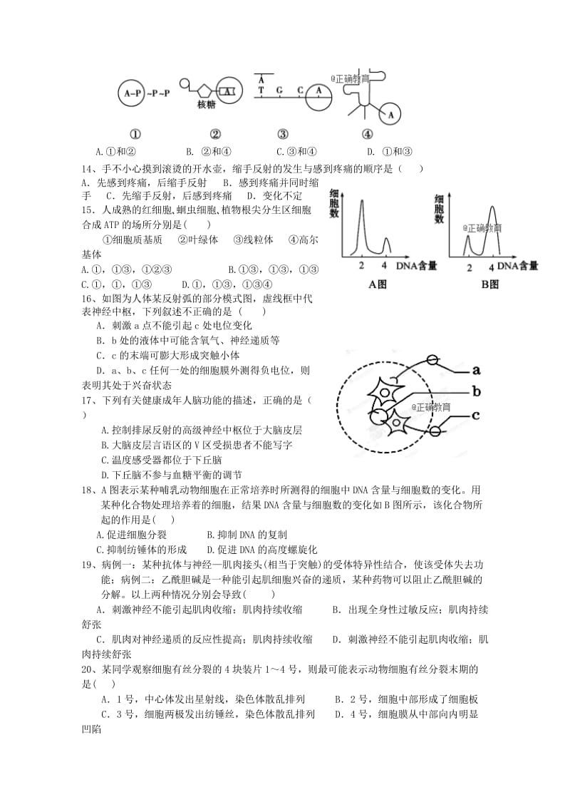 2019届高三生物上学期第一次月考10月试题.doc_第3页