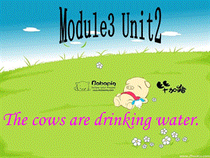 2019春六年级英语下册 Module 3 Unit 2《The cows are drinking water》课件5 （新版）外研版.ppt