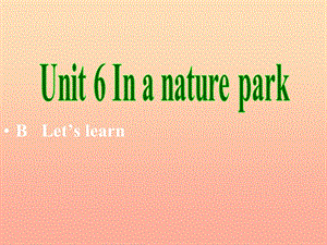 五年級英語上冊 Unit6 In a nature park第四課時課件 人教PEP.ppt