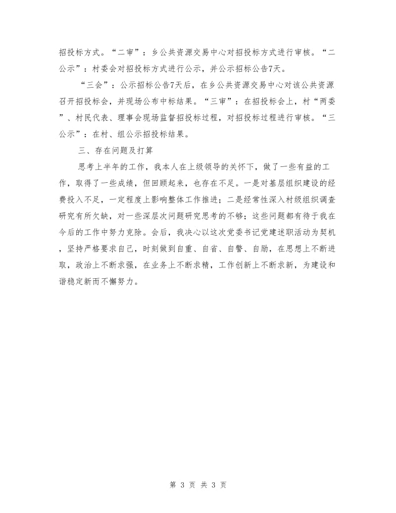 乡长党建履职情况汇报.doc_第3页