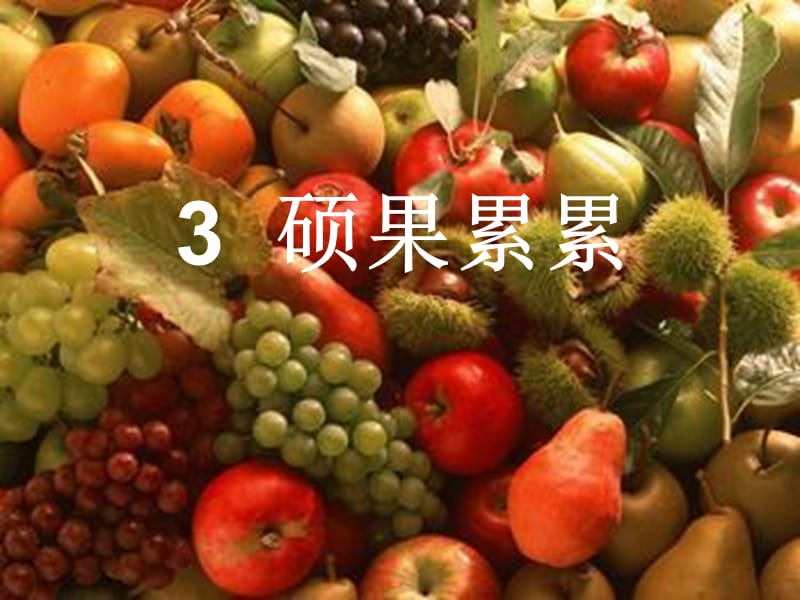 2019春四年級科學下冊 3.3《碩果累累》課件2 大象版.ppt_第1頁