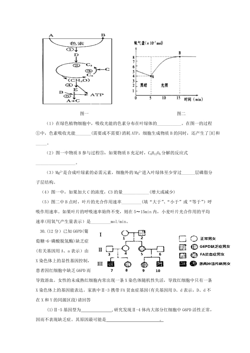 2019届高三生物特优生培训练习14(零零班).doc_第3页