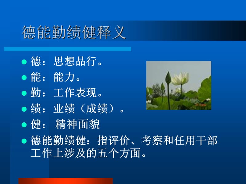 领导干部的基本要求.ppt_第2页