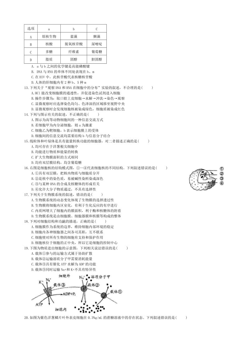 2019版高一生物上学期期末考试试题 (III).doc_第2页