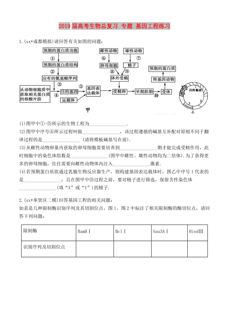 2019届高考生物总复习 专题 基因工程练习.doc_第1页