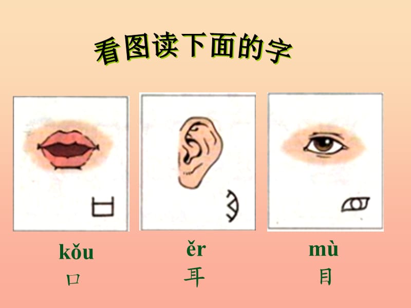 一年级语文上册 识字（一）3 口耳目课件3 新人教版.ppt_第3页