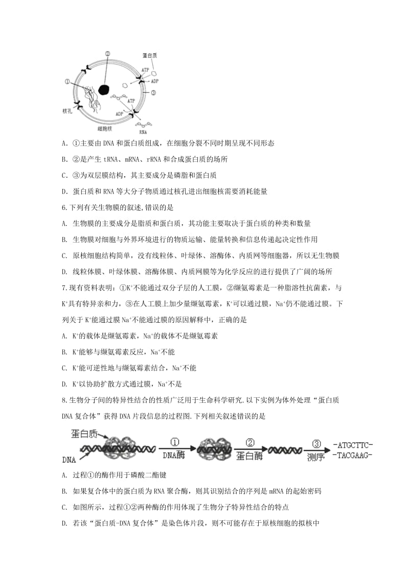 2019届高三生物上学期第三次月考试题 (III).doc_第2页