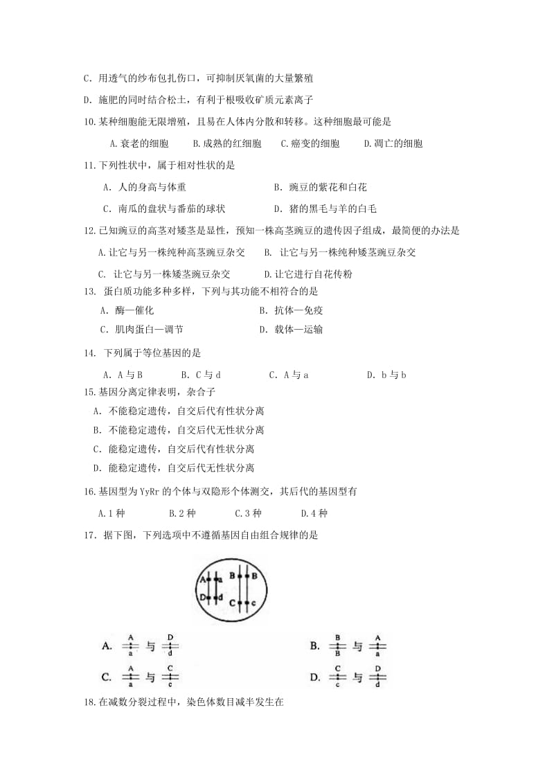 2019-2020学年高一生物下学期期末模拟试题.doc_第2页