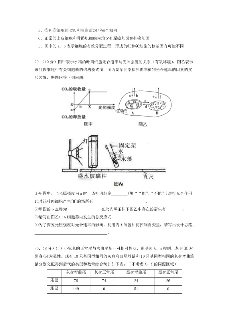 2019届高三生物第四次模拟考试试题 (I).doc_第2页