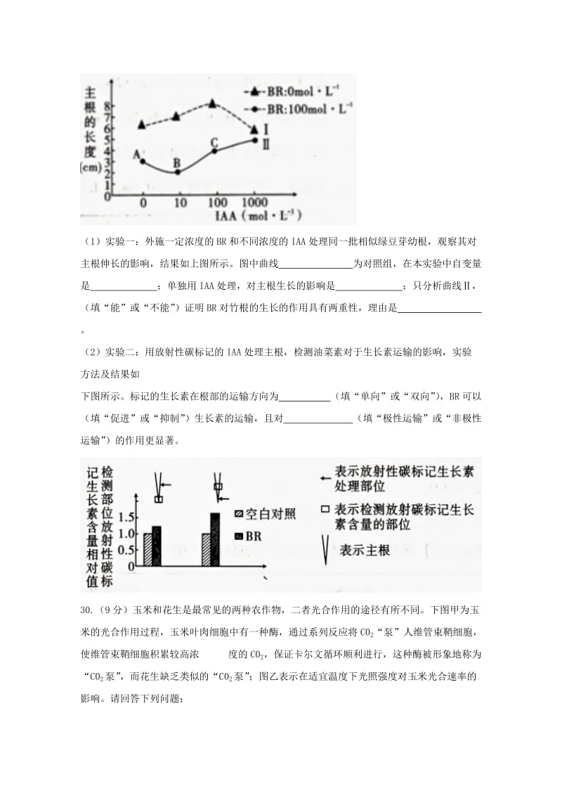 2019届高三生物3月月考试题.doc_第3页