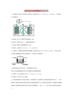 2019屆高三化學(xué)二輪復(fù)習(xí) 核心考點(diǎn)專項(xiàng)突破練習(xí)（十一）（含解析）.doc