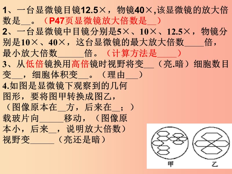 山東省威海市文登區(qū)實驗魯中學六年級生物上冊 2.2.2 單細胞生物課件 魯科版五四制.ppt_第1頁