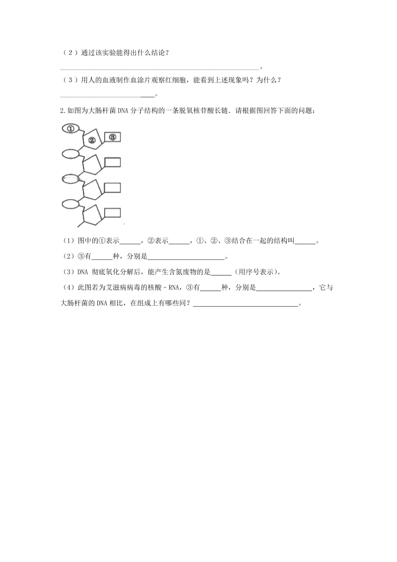 2019版高中生物 2.3 遗传信息的携带者——核酸日日清 新人教版必修1.doc_第3页