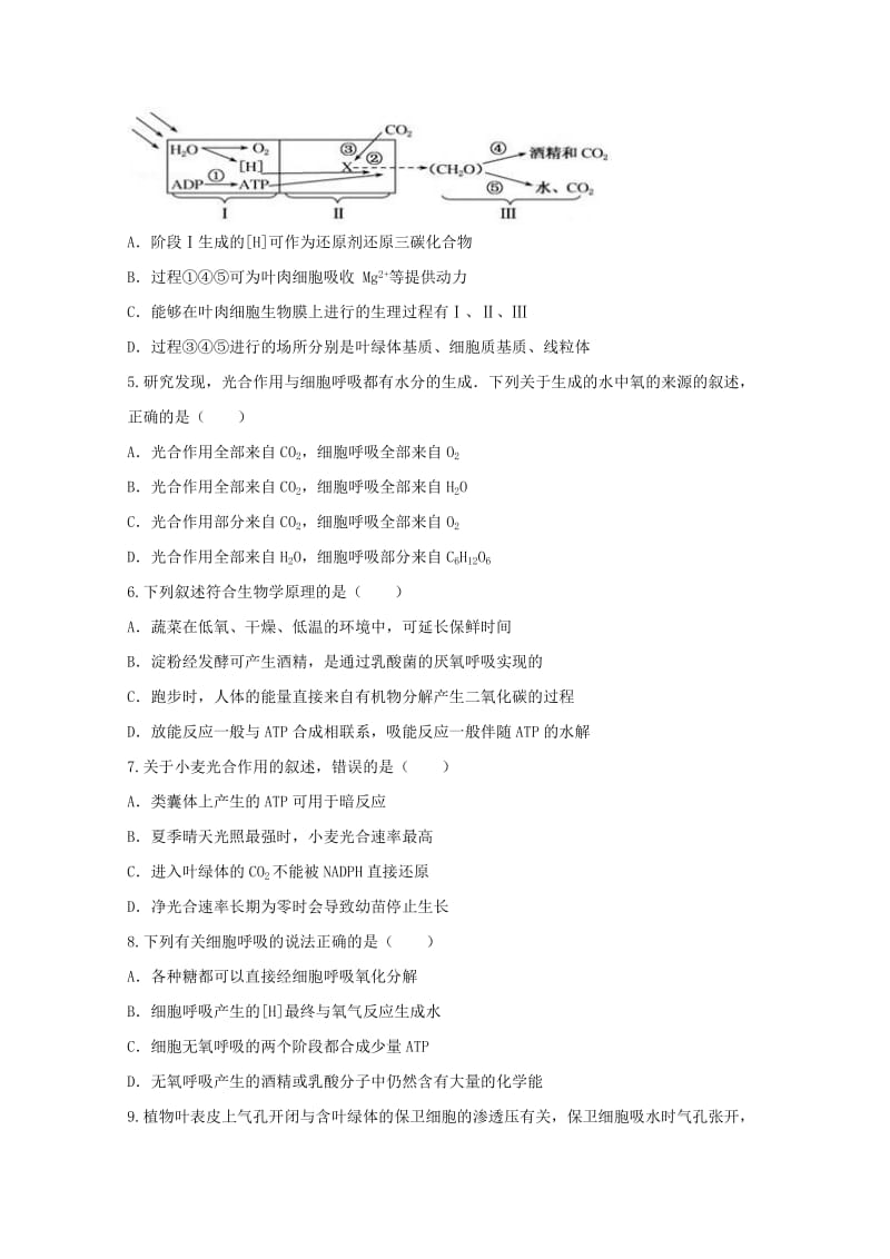 2019届高三生物上学期第二次月考试题 (IV).doc_第2页