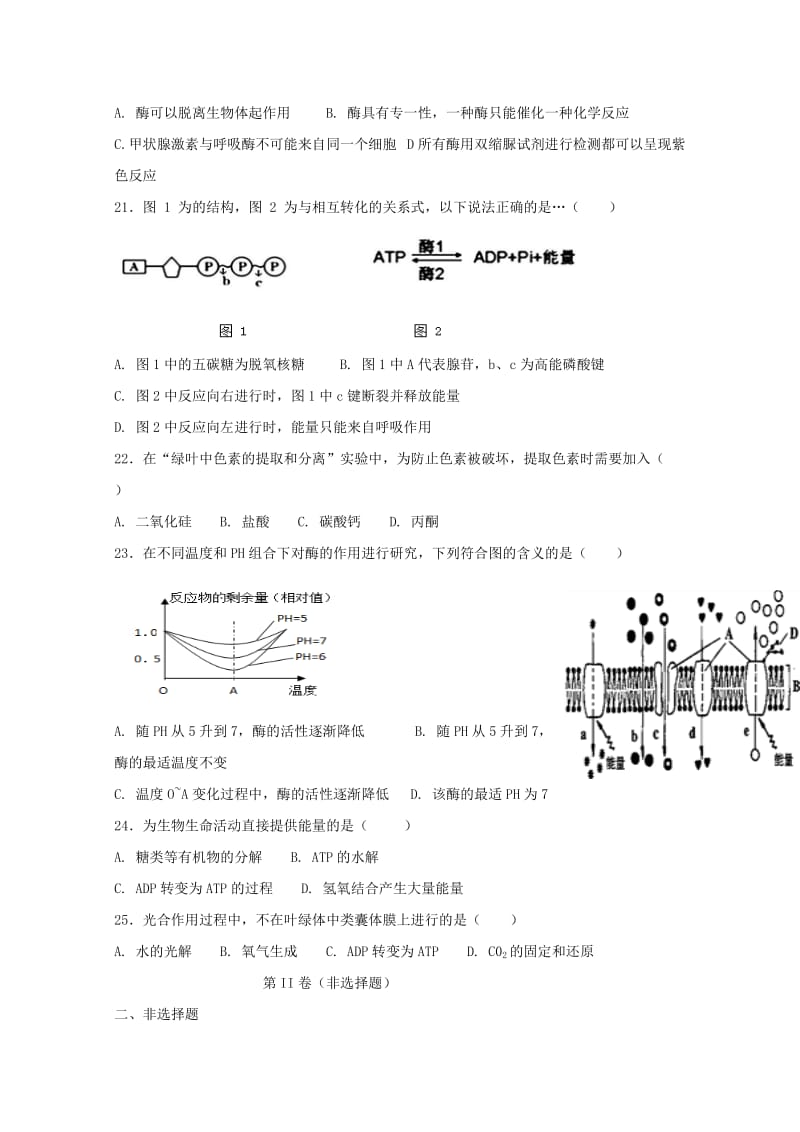 2019-2020学年高一生物下学期期末考试试题无答案 (I).doc_第3页